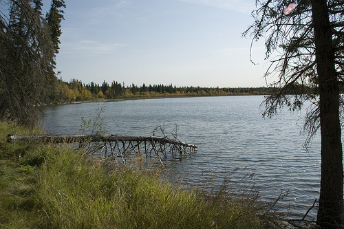 Prince Albert National Park